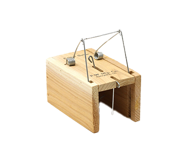 CRITTER GETTER WOODEN SQUIRREL TRAP
